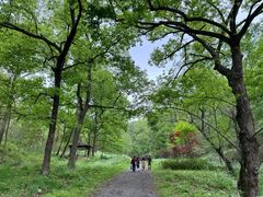 -老山国家森林公园