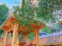 -西双版纳勐泐文化旅游区