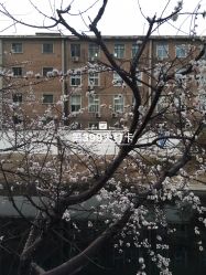 -大象造型