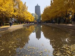 -玲珑塔公园