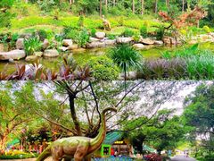 -佛冈森波拉度假区