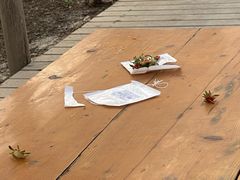 -前小桔亲子创意农场·草莓采摘·露营烧烤