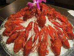 -京悦南门涮羊肉·羊蝎子火锅(田林路店)