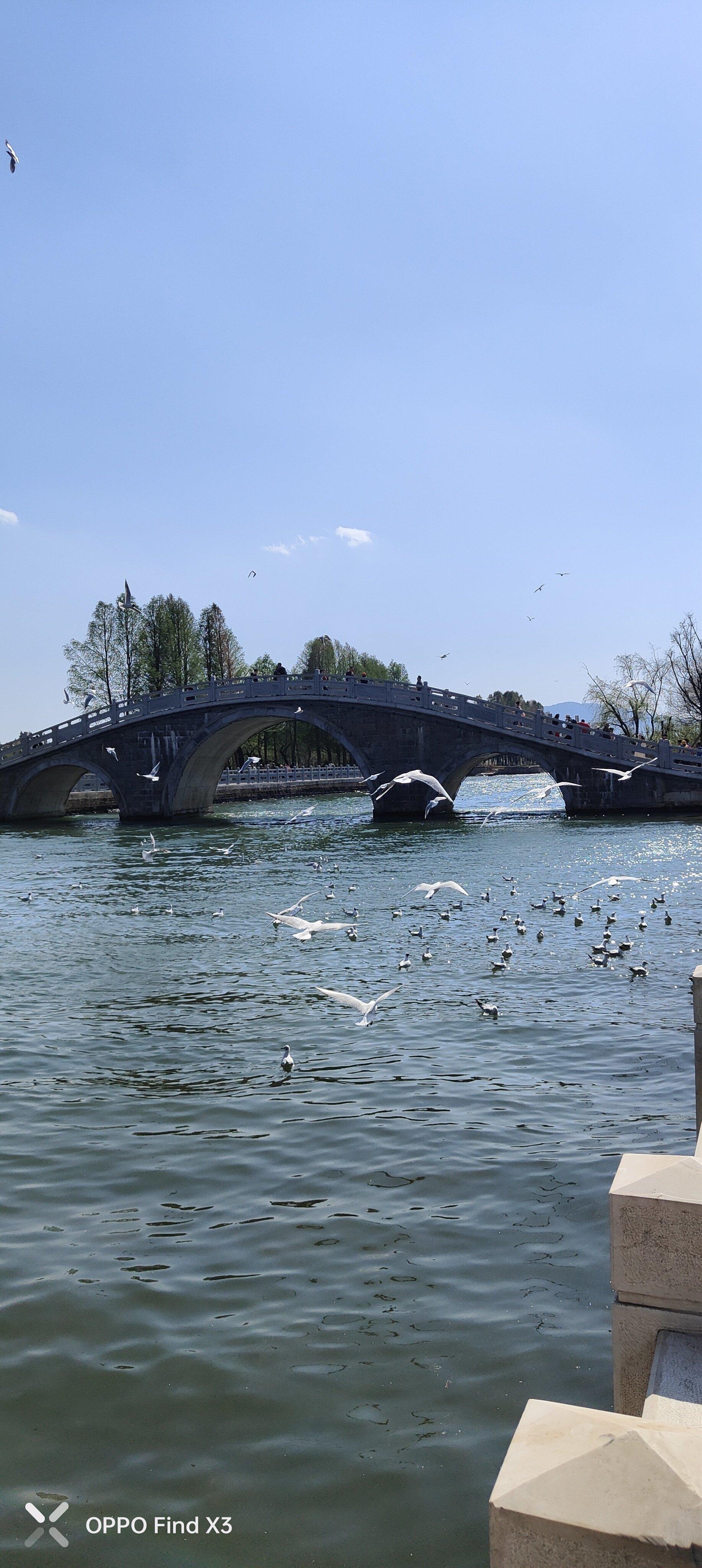 阳春三月,踏春好时节