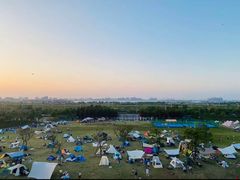 -春花秋色城市公园