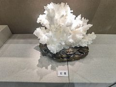 -北京中医药大学-中医药博物馆