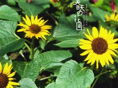 -长春农博园