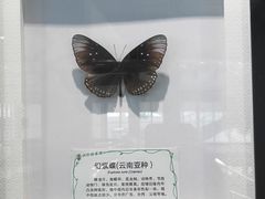 -南通洲际绿博园