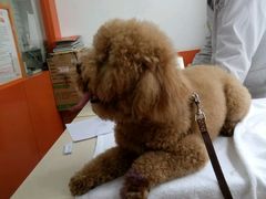 -惠康宠物医院(华能路店)