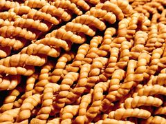 -新区益元综合市场