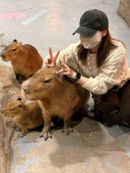 -Zoolung Zoolung动物主题公园(海信广场店)