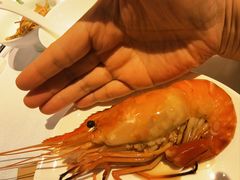 -食廬(虹桥南丰城店)