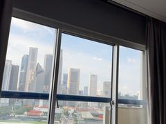 -新加坡瑞士史丹福酒店