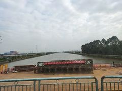 -大湾区中央湿地公园