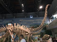 -自贡恐龙博物馆