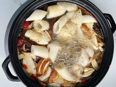 -蘑统田下·野生菌火锅