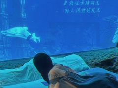 -南昌融创海世界