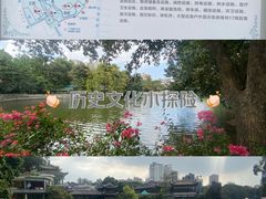 -荔湾湖公园