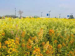 -中国天府农业博览园