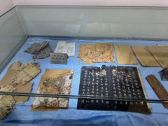 -上海昆虫博物馆