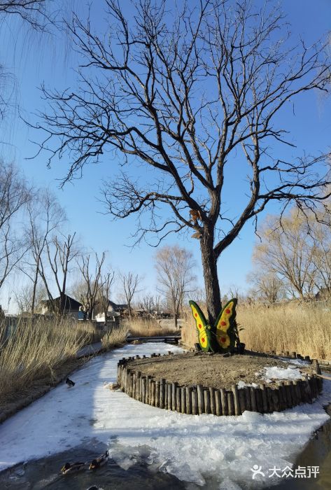 三里河公园图片