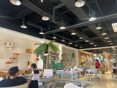 -藏猫猫咖啡主题馆(中央大道店)