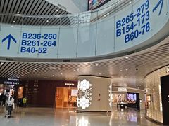 -广州白云国际机场-T2航站楼