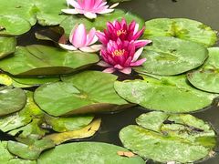 -苏州河梦清园环保主题公园