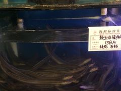 -隆喜元鱼汤包·海鲜(中联广场店)