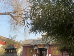 -北京佛教居士林