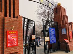 -桃花堤公园