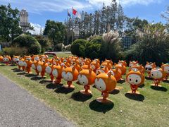 -上海长兴岛郊野公园