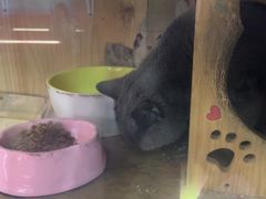 -203密室体验馆·逃脱·聚会·亲子(工体店)