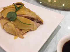 -苔圣园酒家(尊木汇国际艺术广场店)