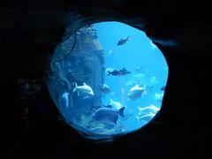 -郑州银基国际旅游度假区