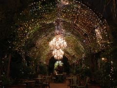 -The Grounds of Alexandria