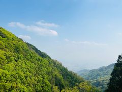 -泰山风景名胜区
