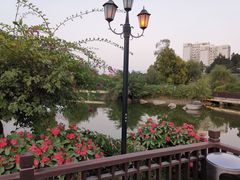 酒店花园里的湖-厦门悦华酒店