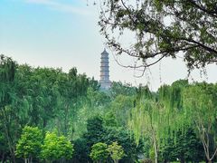 -北坞公园
