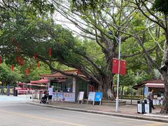 -南沙天后宫景区
