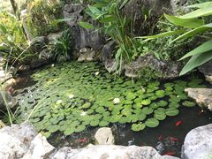 -中国茶叶博物馆(双峰馆区)