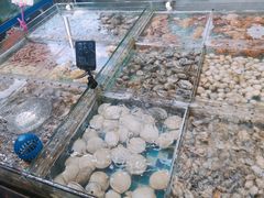-87号烧烤海鲜·大排档(金沙滩店)