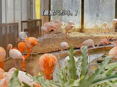 -北京动物园