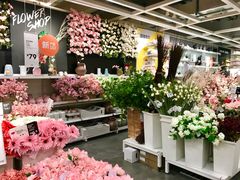 -宜家家居(哈尔滨商场店)