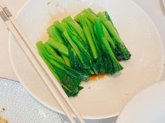 -金粤九号(李公堤店)