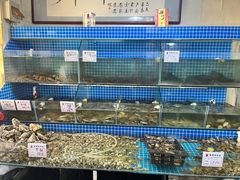 -云南巷海鲜大咖·可加工海鲜