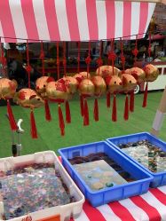 -寻石问宝研学亲子乐园(朝阳公园店)