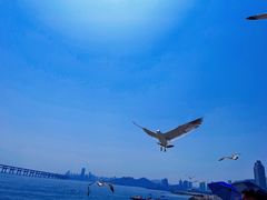 -星海广场