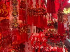 -越秀西湖花市(广州城市广场花卉店)