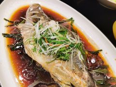 -新南华大酒店(广中店)